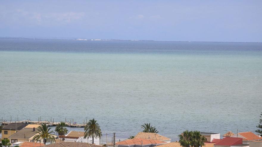 El Mar Menor sigue sin recuperar sus hábitats y especies clave