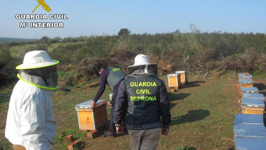 Detenido un vecino de Caminomorisco por robar una treintena de colmenas