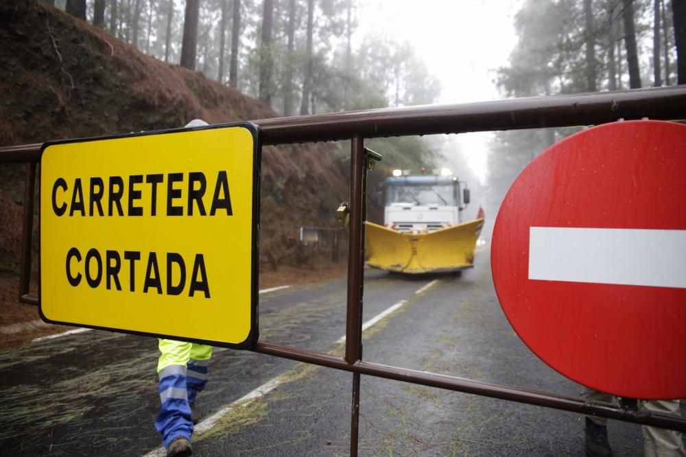 Miles de personas disfrutaron e inmortalizaron la nevada en el Teide