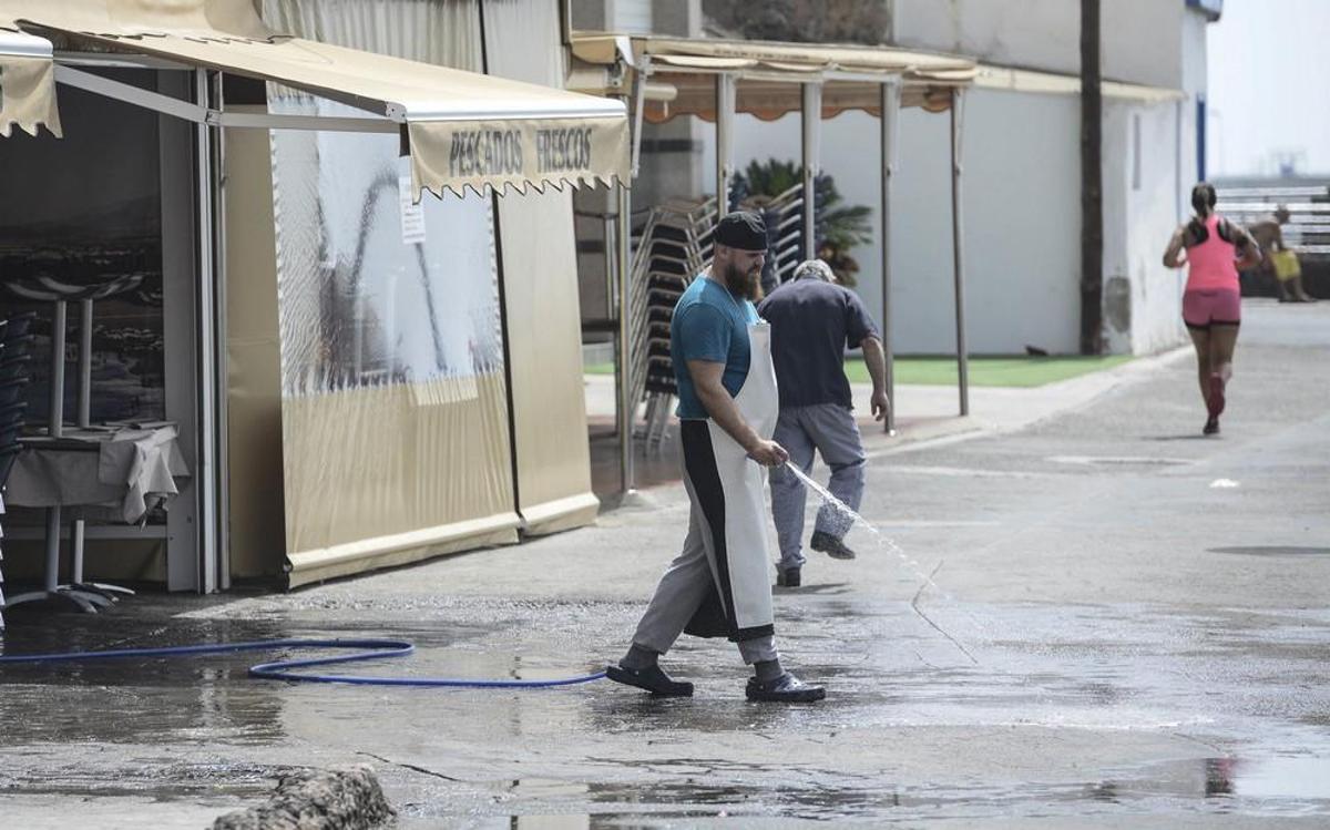 Plaga de moscas en Melenara y Salinetas Plaga de moscas en Melenara y Salinetas