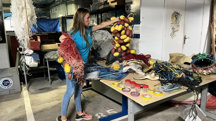 So gefährlich ist Plastikmüll im Meer für Wale und Delfine vor Mallorca