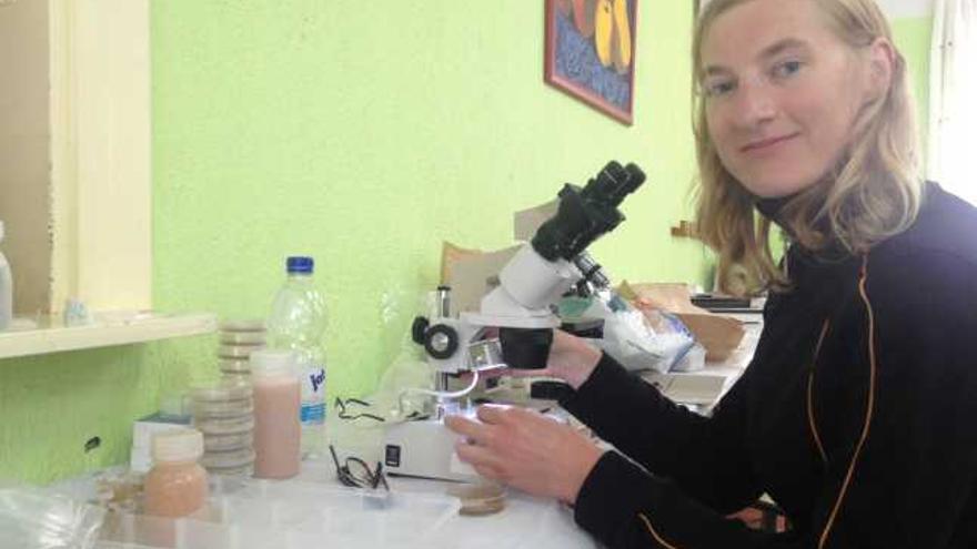 Stefanie Rudolph, de la Universidad de Frankfurt (Alemania), ayer, observando a través del microscopio las especies recogidas durante la mañana en Somiedo.
