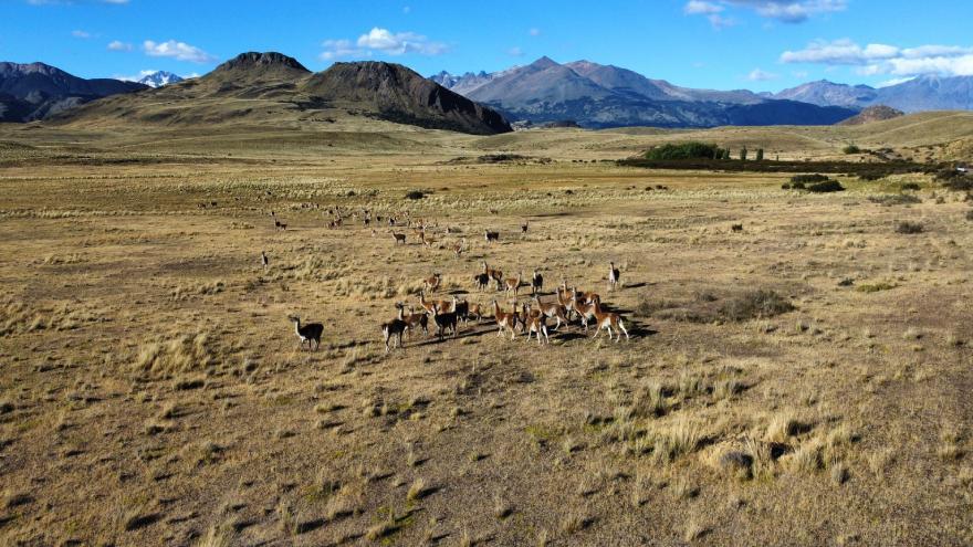 La Pampa argentina.