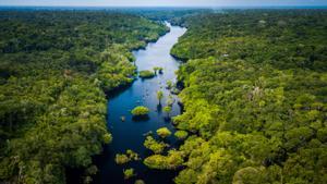 Selva tropical en la Amazonía