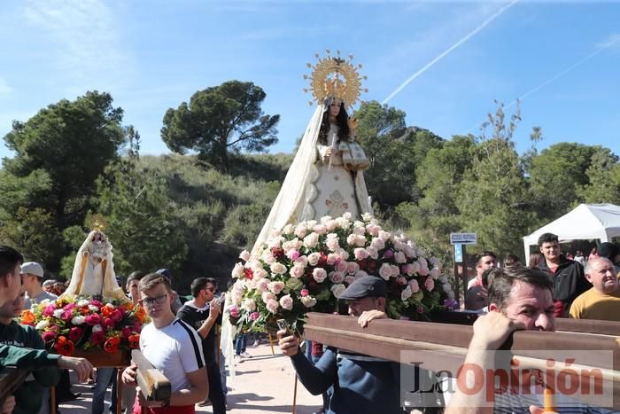 Romería de La Hoya (II)