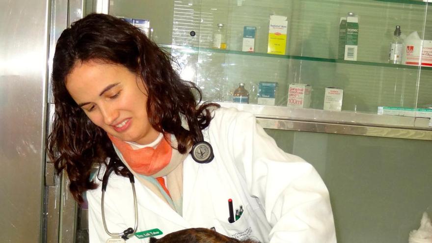 La profesión veterinaria y el desarrollo sostenible, de la mano