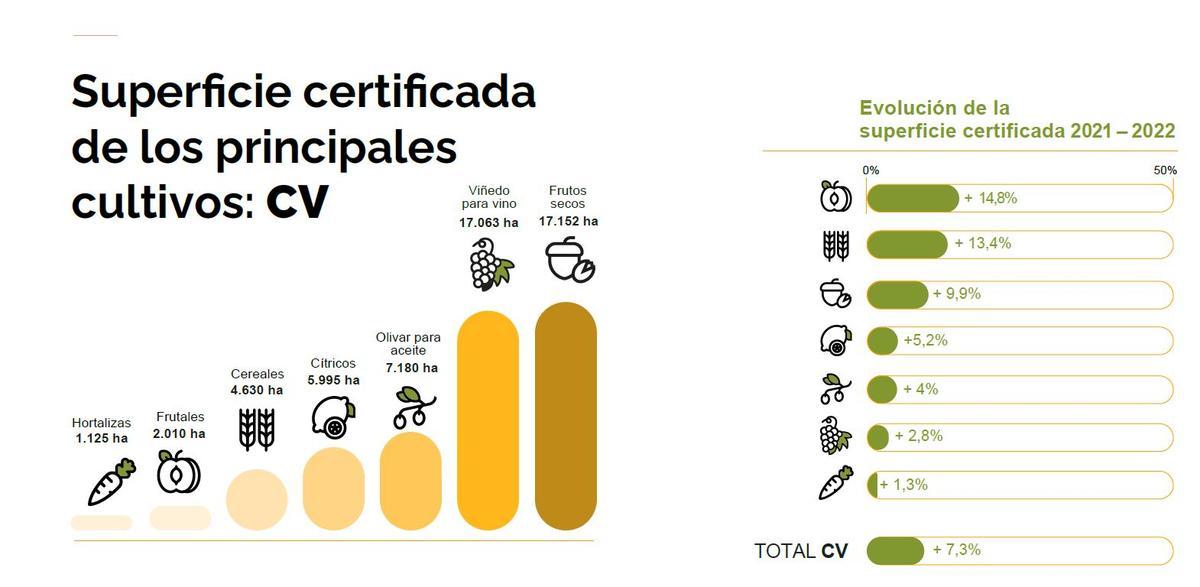 La evolución de los principales cultivos en la C. Valenciana