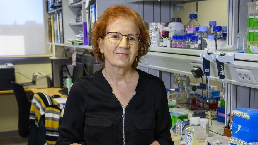 Quién es Margarita del Val, la viróloga que predice las olas del coronavirus