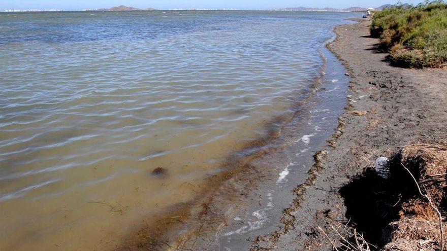 Una de las zonas de playa en el Mar Menor, cercana a la Rambla del Albujón.