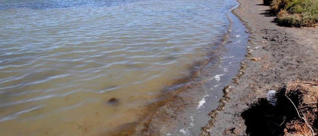 Una de las zonas de playa en el Mar Menor, cercana a la Rambla del Albujón.