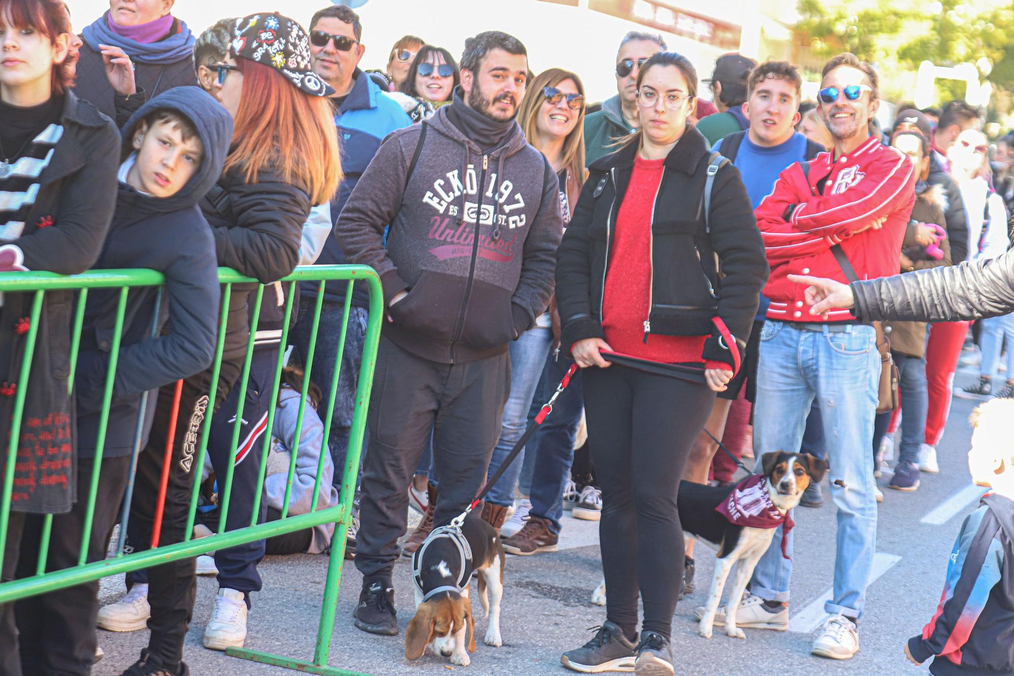 Romería y Bendición de animales en San Antón de Elche