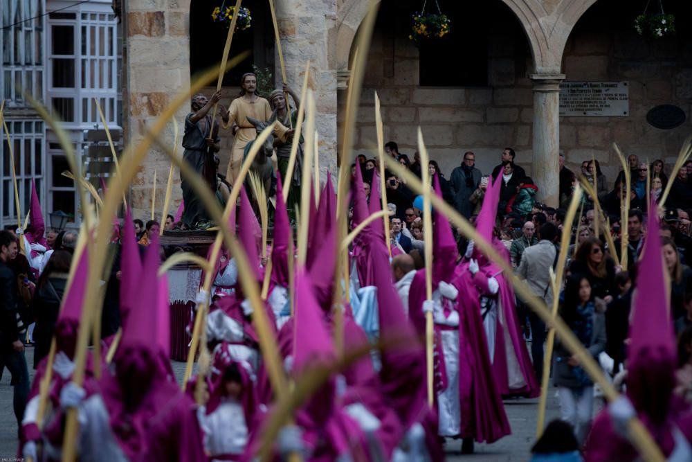 Procesión de La Borriquita