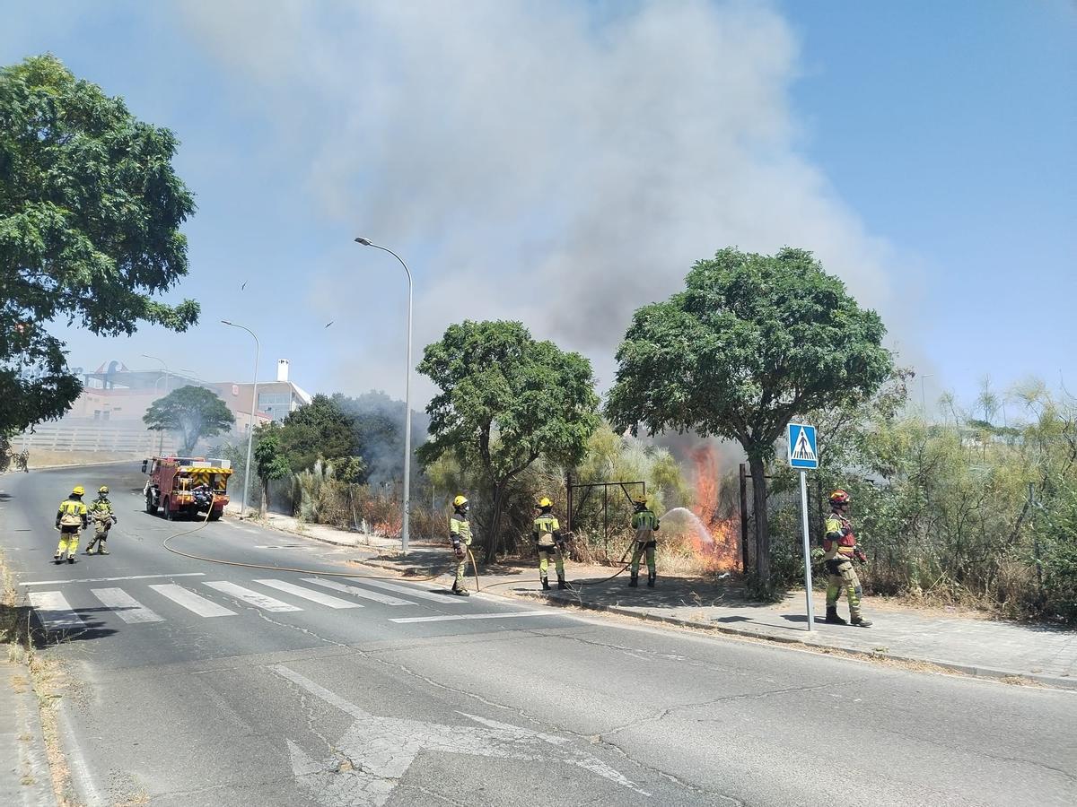 Fotogalería | Incendio de pastos en Plasencia