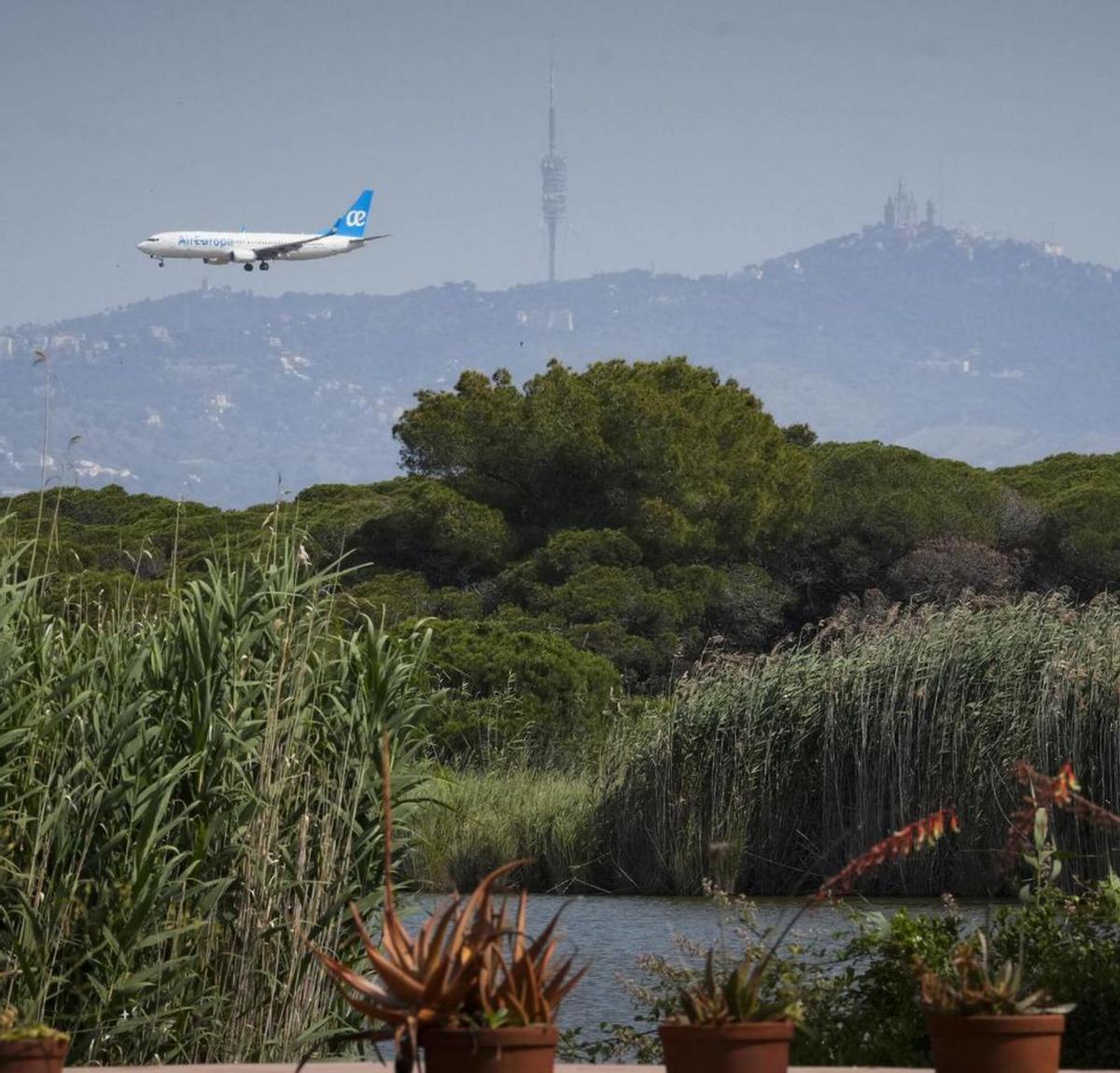 El Govern fitxa l’assessoria del port de Rotterdam per al Prat