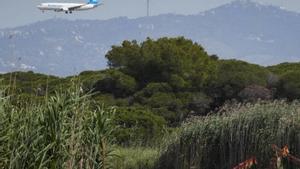 El Govern fitxa l’assessoria del port de Rotterdam per al Prat