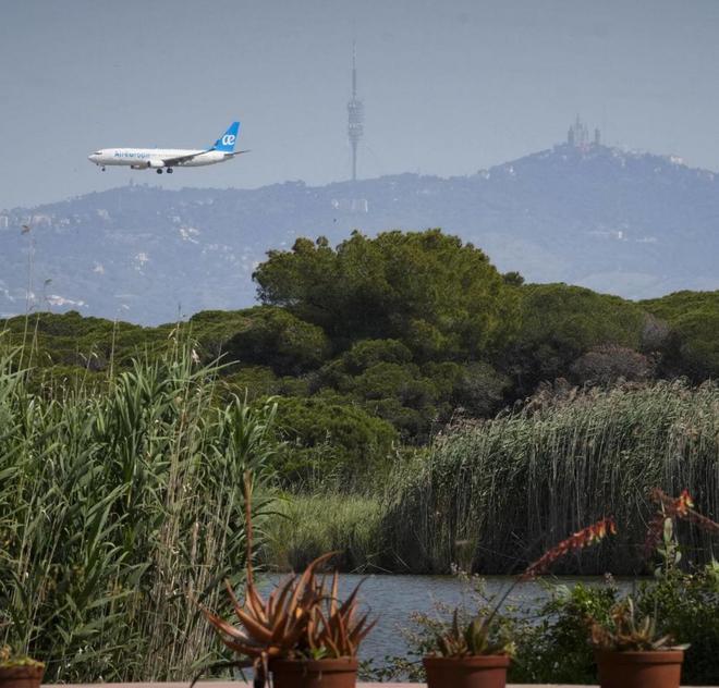 El Govern fitxa l’assessoria del port de Rotterdam per al Prat