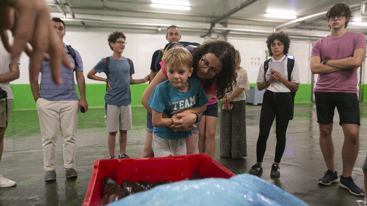 EN IMÁGENES: Vuelven las visitas guiadas a la rula de Avilés