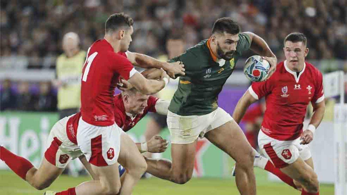 Sudafrica se clasificó para la final del Mundial de rugbi