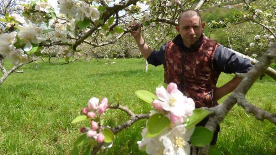 El cosechero obligado a pagar autónomos se pregunta si para desbrozar su finca tiene que estar dado de alta