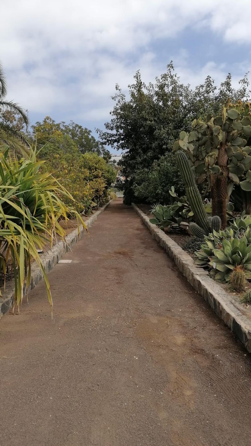 Paseo interior del parque.