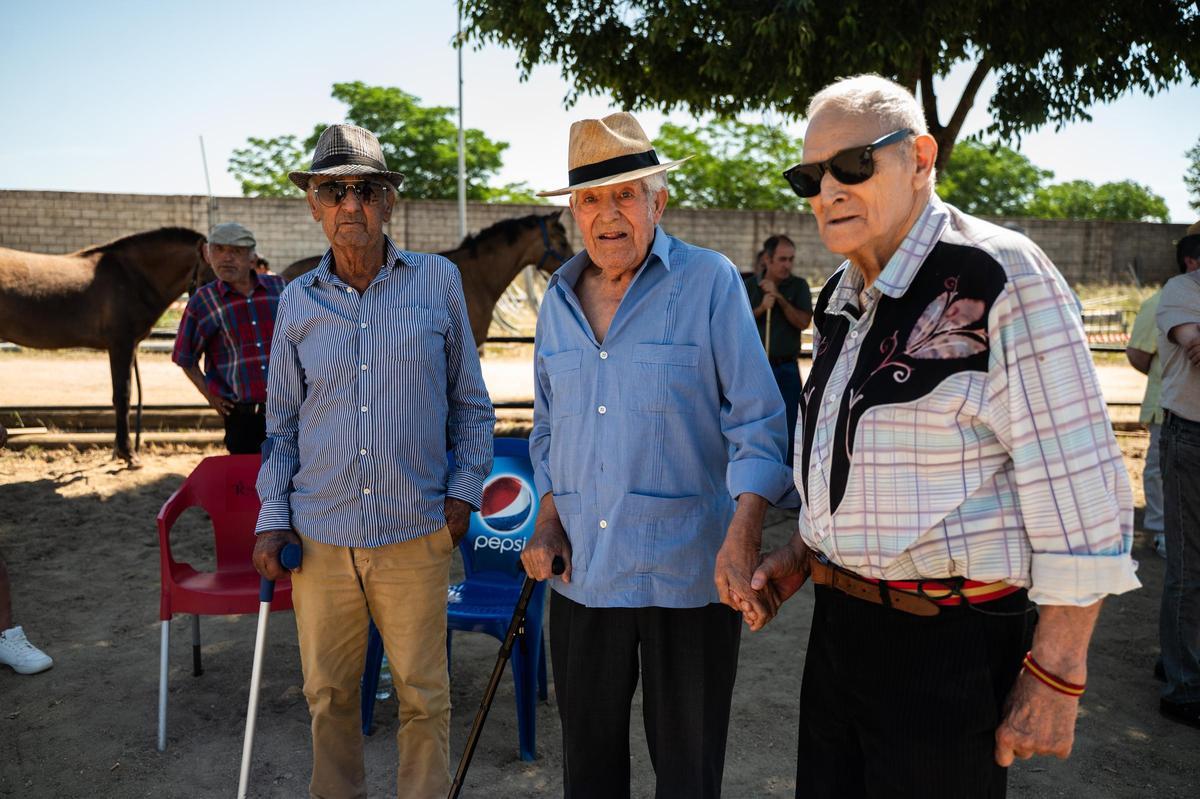 Galería | Feria de ganado en Cáceres