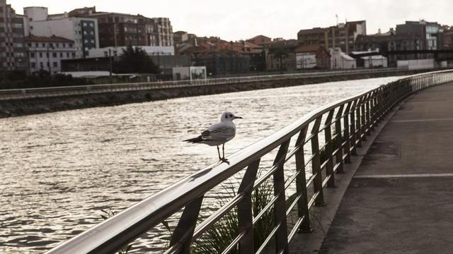 Panorámica del paseo  de la ría de Avilés.
