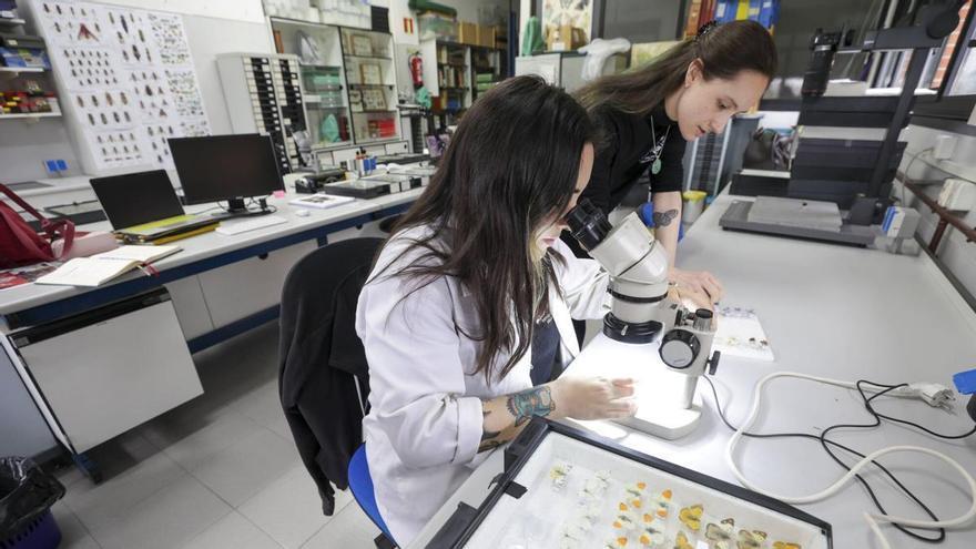 El pesar de los investigadores jóvenes que no se pudieron quedar en la Universidad de Oviedo por falta de apoyo: "Es desesperante"