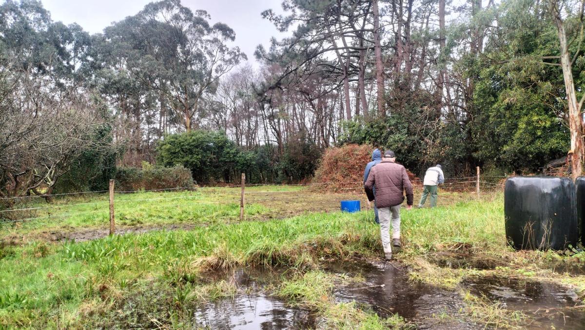 EN IMÁGENES: Buscan a un octogenario en la zona de Cudillero que cayó cuando fue a limpiar el monte