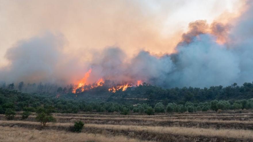 Els canvis del clima de punta a punta de món influeixen en els incendis