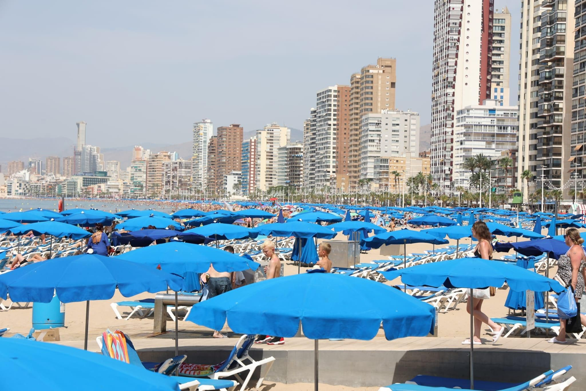 Calor en la provincia de Alicante