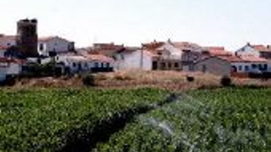 Carcaboso, en terreno arcilloso