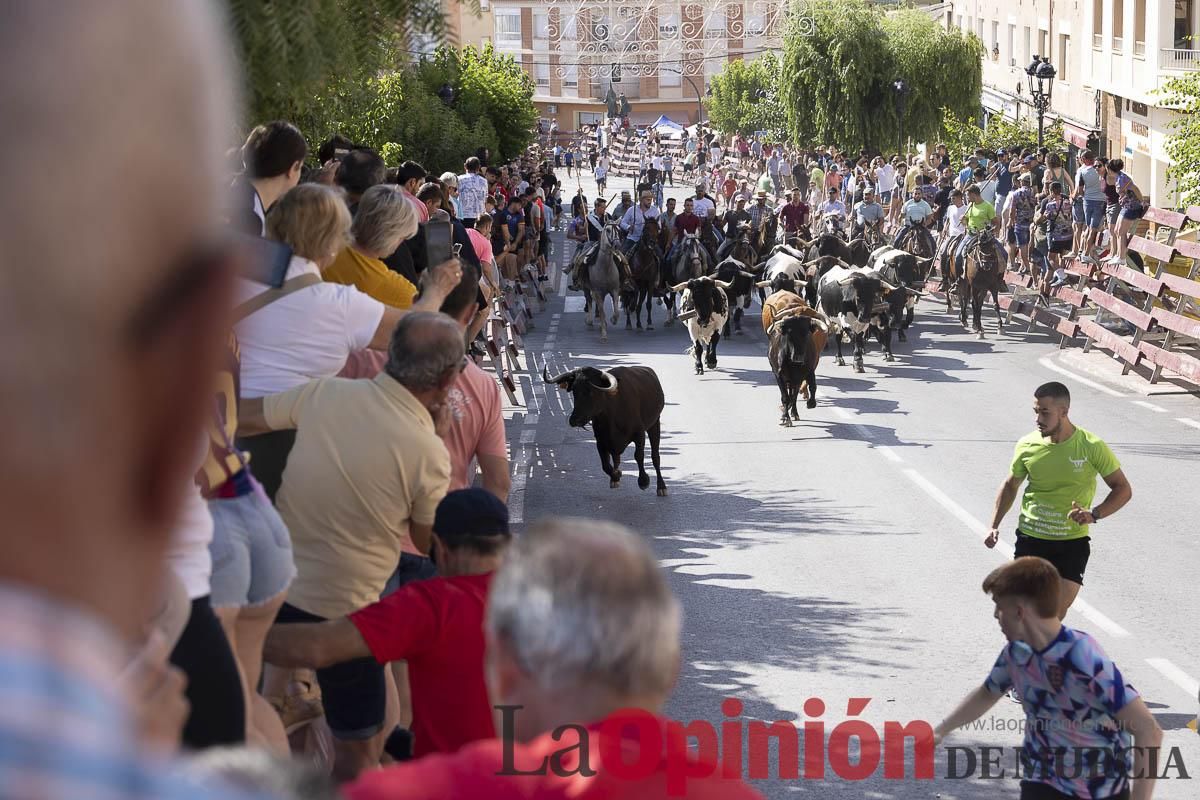 Sexto encierro de las Fiestas de Moratalla