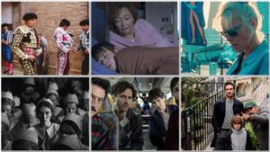 Fotogramas de Tardes de soledad, Misericordia, The last show girl, La chica de la aguja, Los aitas y Wolfgang