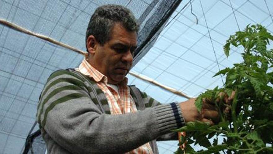 Marcelo Rodríguez, jefe técnico de una cooperativa. i MARRERO