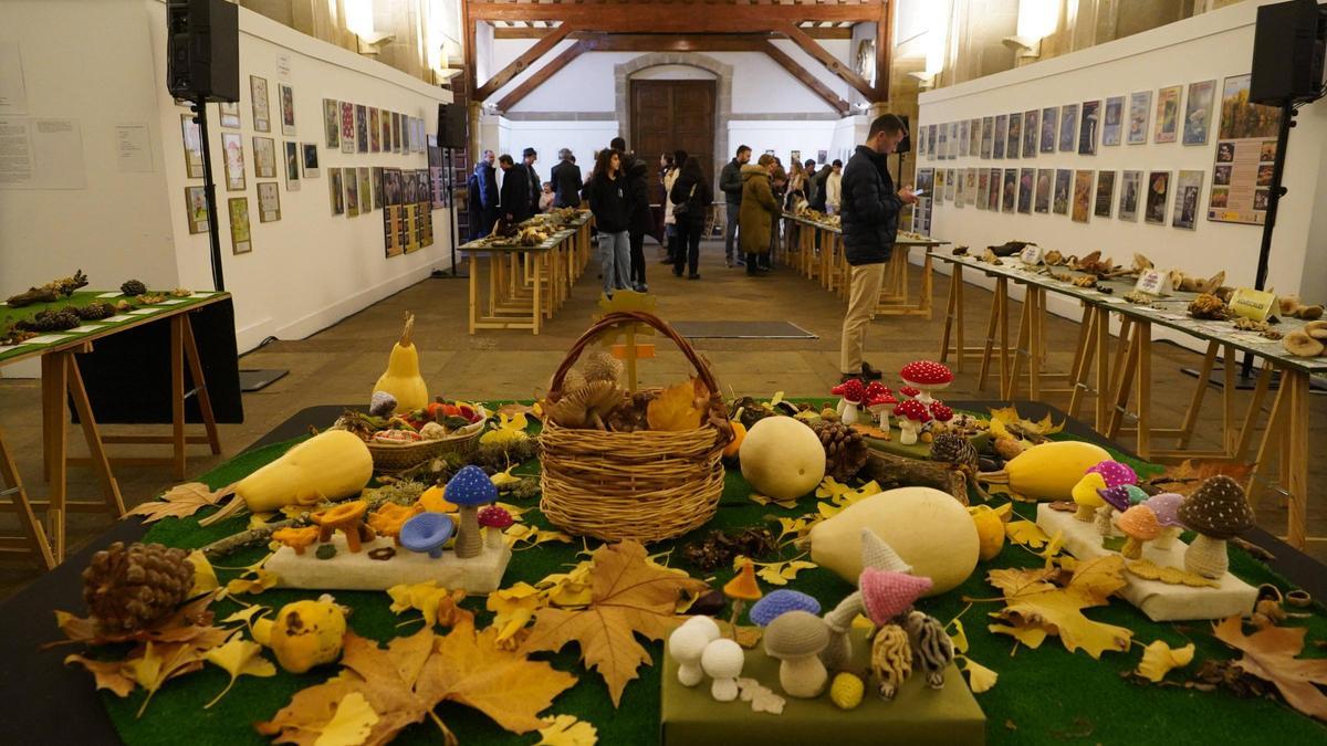 Las mejores y más llamativas setas, en el Palacio de la Encarnación de Zamora