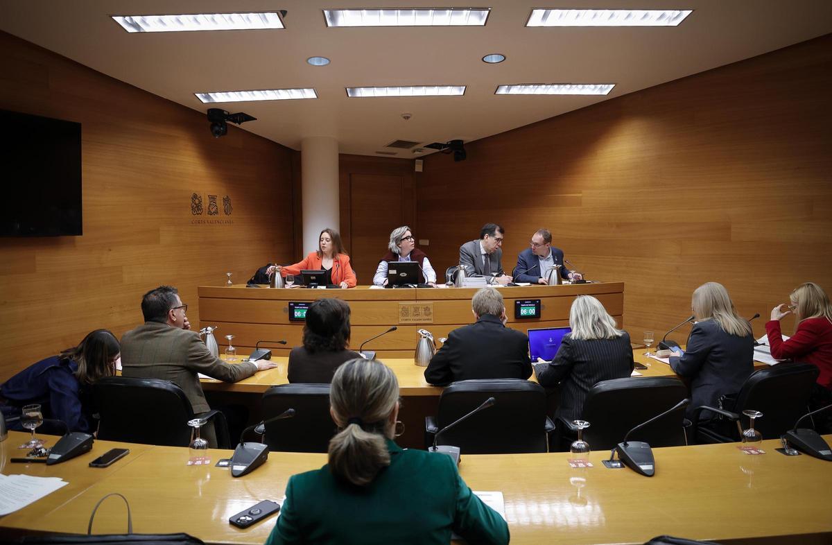 Las Corts celebra la comisión donde se ha aprobado la reforma de la ley de la renta valenciana, este martes.