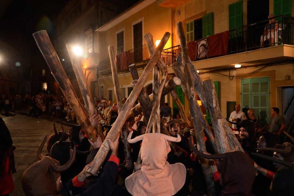 La Procesión de la Beata aglutinó a más de 1.800 payeses repartidos en 850 ‘colles’