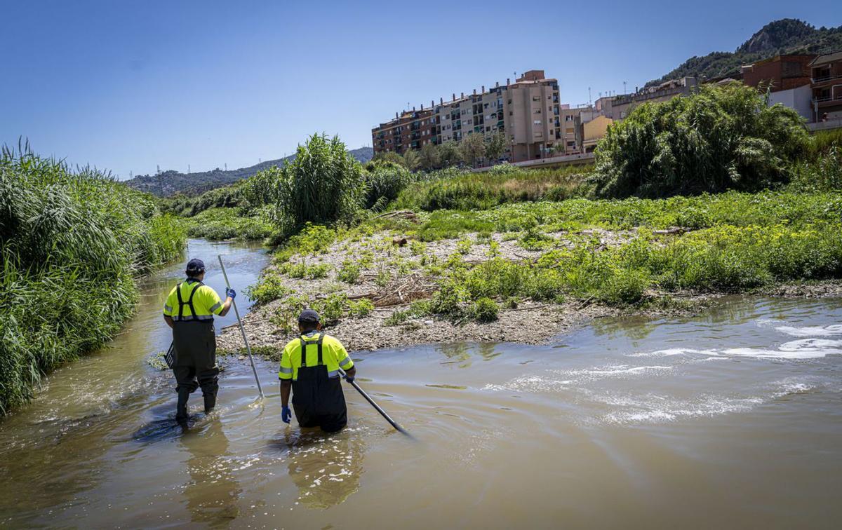 Una trentena d’indústries del Besòs no superen les inspeccions ambientals