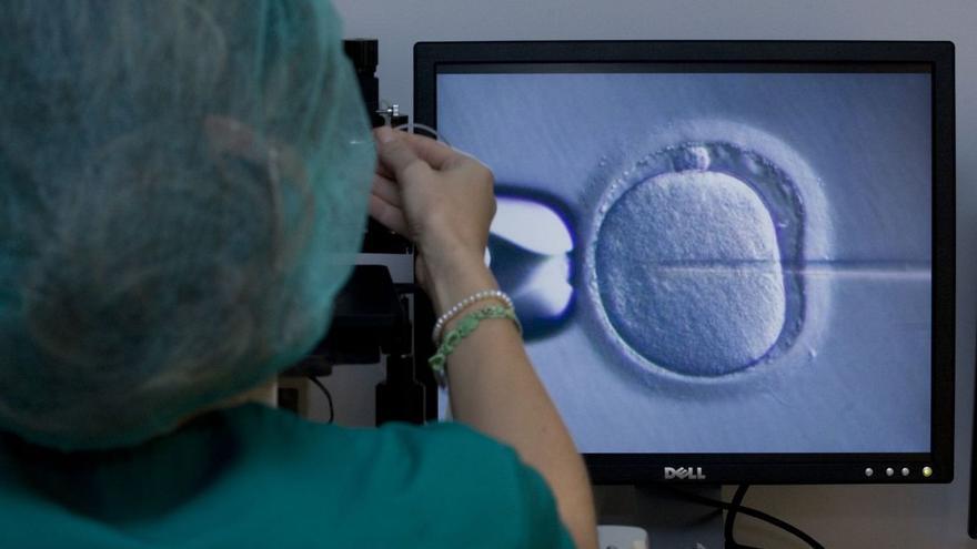 Al alza en Asturias los procesos de reproducción asistida de mujeres solas