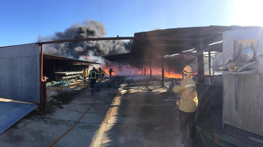 Aparatoso incendio en una nave agrícola de Santa Margalida