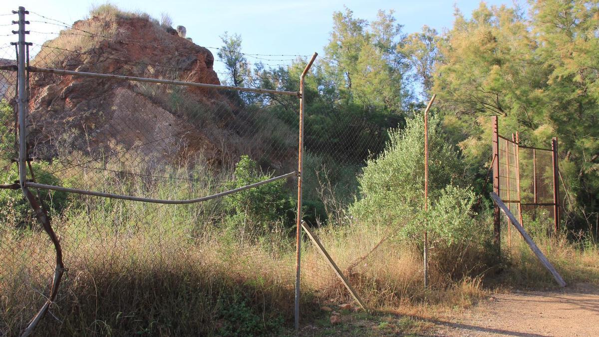 Los paleontólogos denunciaron que los yacimientos están abandonados.