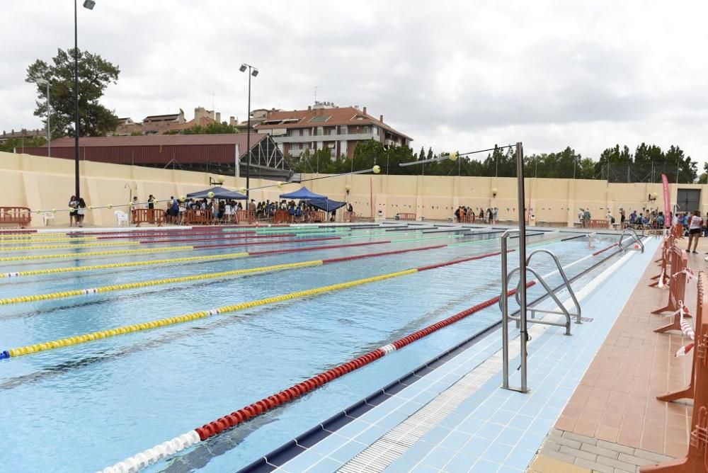 Regional de Natación