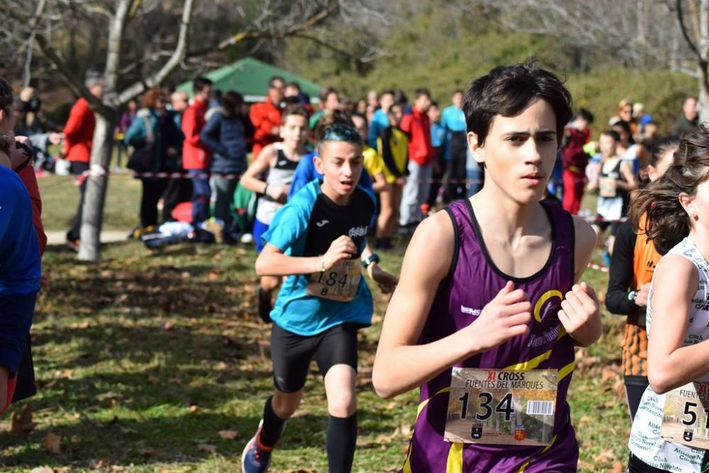 Cross Fuentes del Marqués (IV)