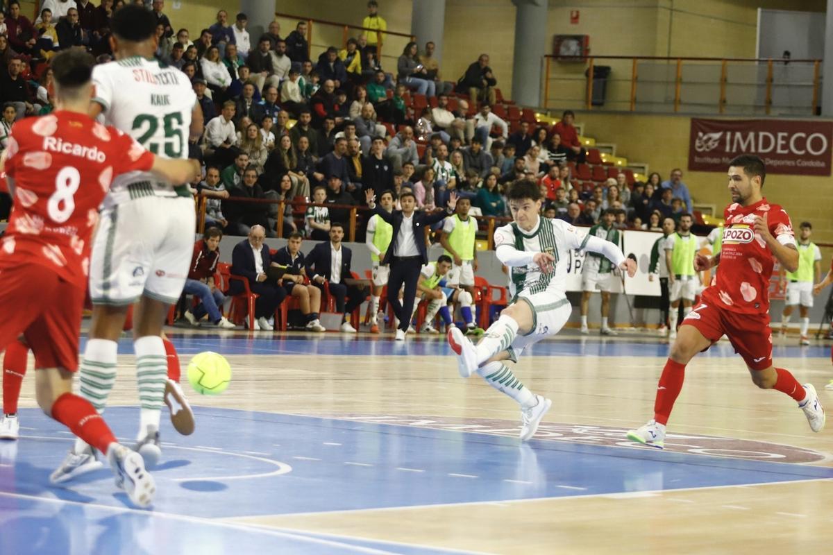 Córdoba Futsal-ElPozo Murcia | Las imágenes del partido en el Palacio Vista Alegre Córdoba Futsal-ElPozo Murcia | Las imágenes del partido en el Palacio Vista Alegre