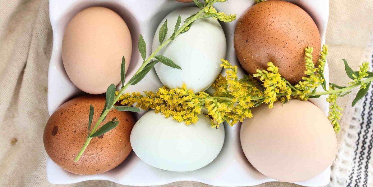 Los huevos son una de las fuentes  más habituales de salmonelosis
