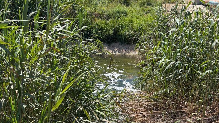 Los agricultores del Campo de Cartagena impiden el vertido anual de 1.600 piscinas olímpicas de aguas regeneradas al Mar Menor