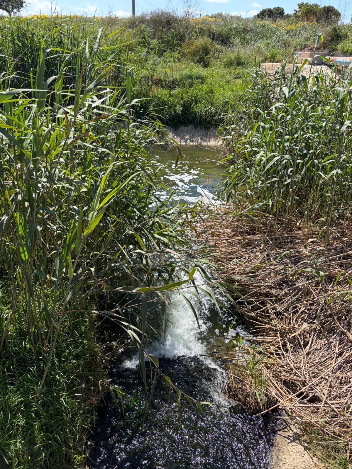 Una de las corrientes de agua que desemboca en la laguna salada.