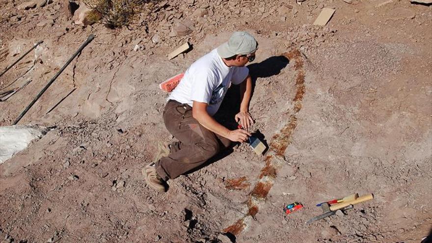 El grupo Aragosaurus lidera el hallazgo de un nuevo dinosaurio