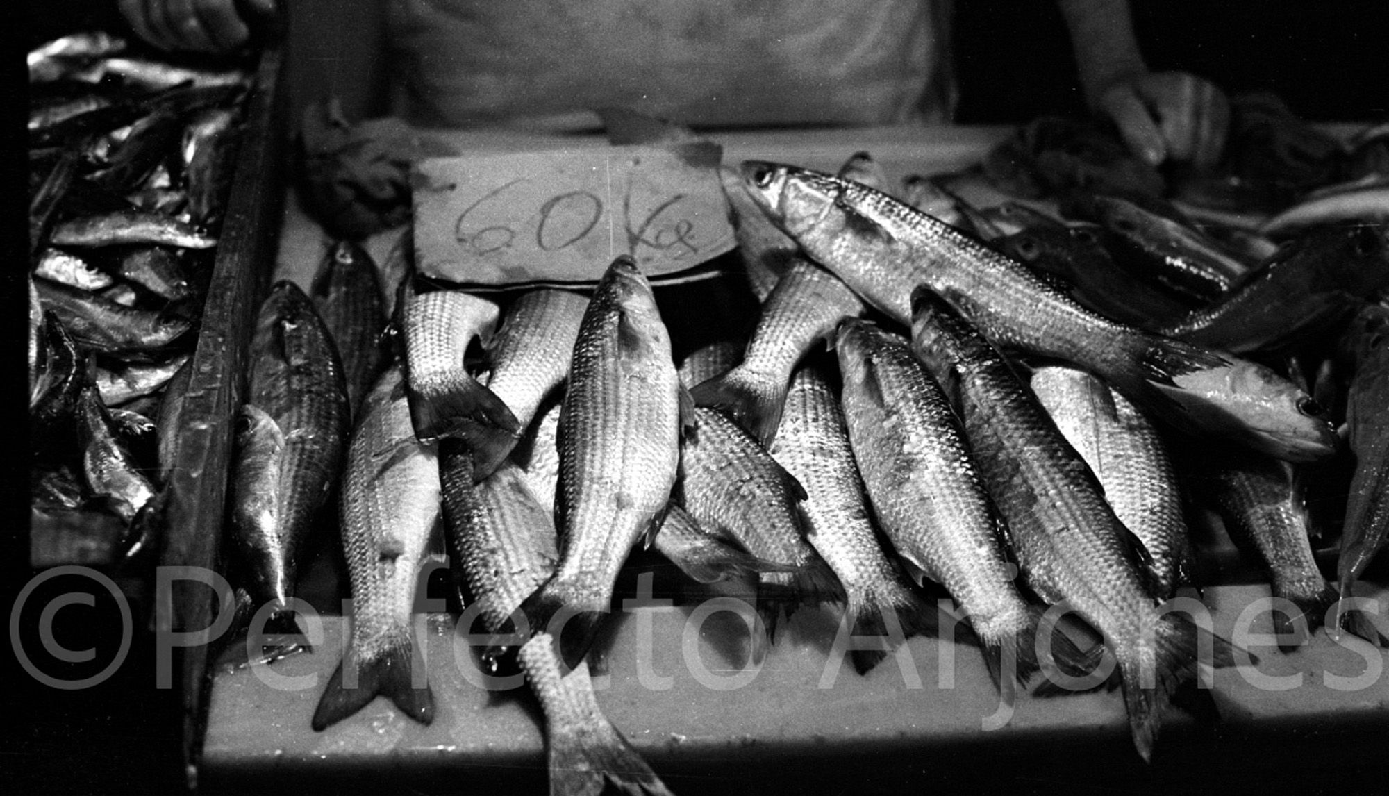 MERCADO,Pescado 76-1.jpg