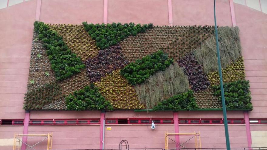 Nuevo jardín vertical en el polideportivo de Guadaljaire.